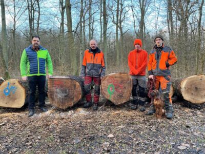 Vor den beiden Stämmen, die jeweils rund 2.000 EUR pro Festmeter erzielen konnten, stehen neben Bürgermeister Johannes Grebner, Forstarbeiter Gerd Geiß und Kilian Lesin mit seiner Bayerischen Gebirgsschweißhündin Mia, sowie Auszubildender Luis Rödamer