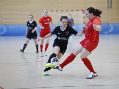 1. FC Schweinfurt 05 - SpVgg Markt Schwabener Au