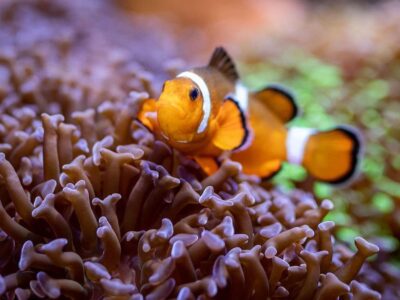 Tiergarten Nürnberg/ Thomas Hahn