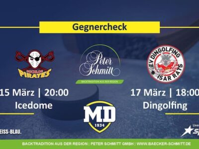 Gegnercheck Buchloe und Dingolfing, Foto: MD