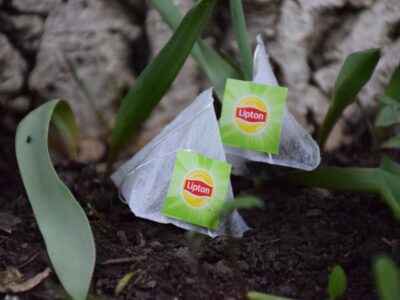 Bei dem Projekt werden an zugewiesenen Standorten Teebeutel vergraben und klei- nere Tests durchgeführt. / Foto: Pia Bley