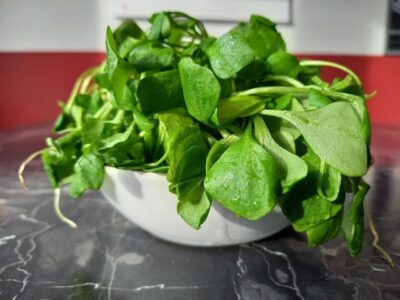 Foto: Verbraucherzentrale Bayern