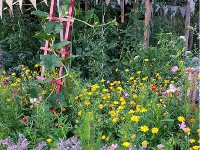 Der zeitige Anbau von Gemüse im Frühjahr ermöglicht einen üppigen Ertrag im Sommer. Fotos: Christine Fallenbacher