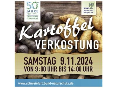 Kartoffel Verkostung