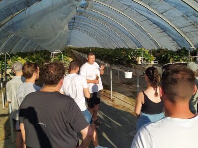 Besichtigung Erdbeeren - JU SW, Foto: Vanessa Schmidt