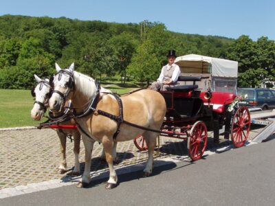 Kutschfahrten werden angeboten. © Reit- und Fahrstall Reder