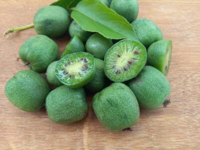 Foto: Verbraucherzentrale Bayern e.V.