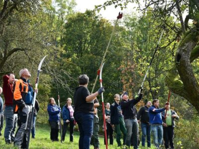 Baumwart Martin Trabert (Mitte) erklärte, worauf es bei der naturschutzfachlichen Pflege von Streuobst ankommt. / Foto: Lea Hohmann