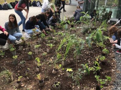Oberstudiendirektorin Christine Weber leitete die Schülerinnen und Schüler bei der Pflanzaktion mit an.