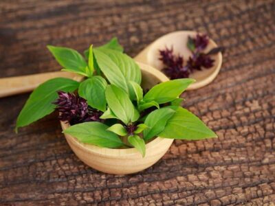 Foto: Verbraucherzentrale Bayern e.V.