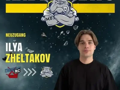 fluegelspieler-aus-schweden-neuzugang-zheltakov