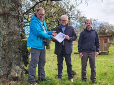 Robert Lauer und Johannes Bayer übergeben den Kirschsortenbericht an Bürgermeister Claus Bittenbrünn unter einem der ältesten Kirschbäume am Schafhof in Königsberg. Foto: Manfred Husslein.