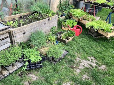 In der Seminarreihe „Nachhaltig leben“ geht es um biologischen Gemüseanbau und um den Erhalt der biologischen Vielfalt. Foto: Christina Fallenbacher