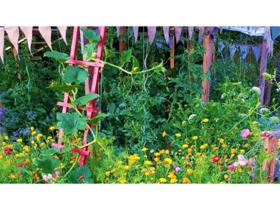 Bild Schutz vor Sonne: Schutz vor der Sonne und ein positives Kleinklima bietet das Gärtnern im Schatten von Bäumen. Foto: Christina Fallenbacher