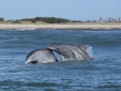 Bildnachweis: Rodrigo Genoves / Yaqu Pacha e. V.